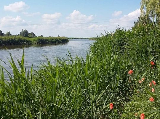 Domki Rafael w Łebie, murowane, całoroczne